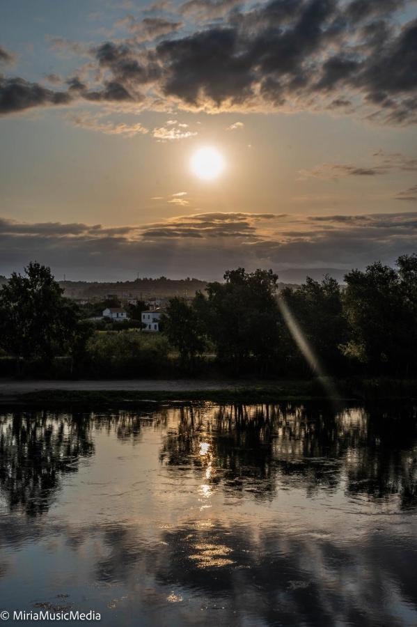 River Ebro Apartments Mora d'Ebre Eksteriør billede