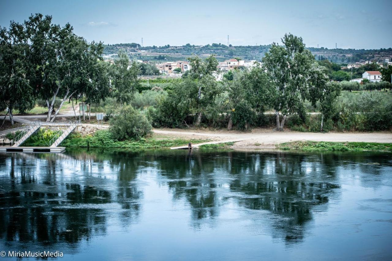 River Ebro Apartments Mora d'Ebre Eksteriør billede